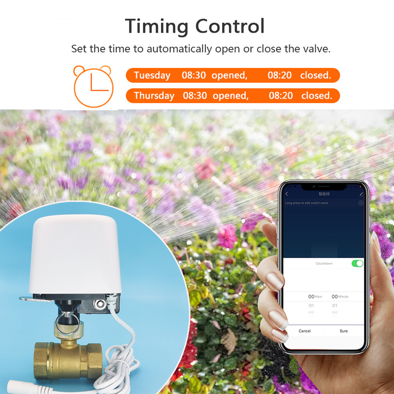 1/2インチ 3/4インチ 1インチ DN32 Tuya Z - Smart Garden Sensors のレビューと価格